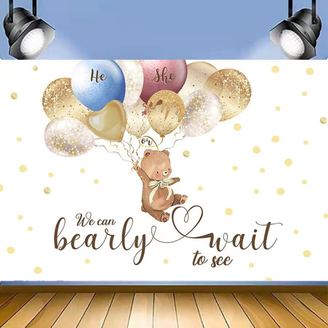 GENDER REVEAL BIRTHDAY PARTY BACKDROP BANNER 5x7ft