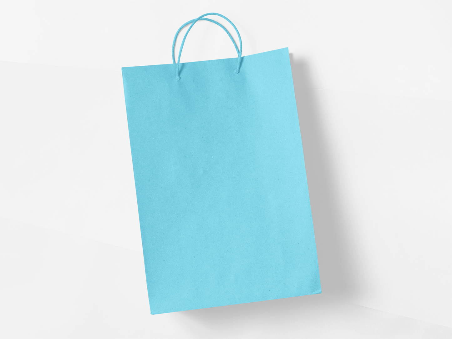 Plain Bags - 4 pack