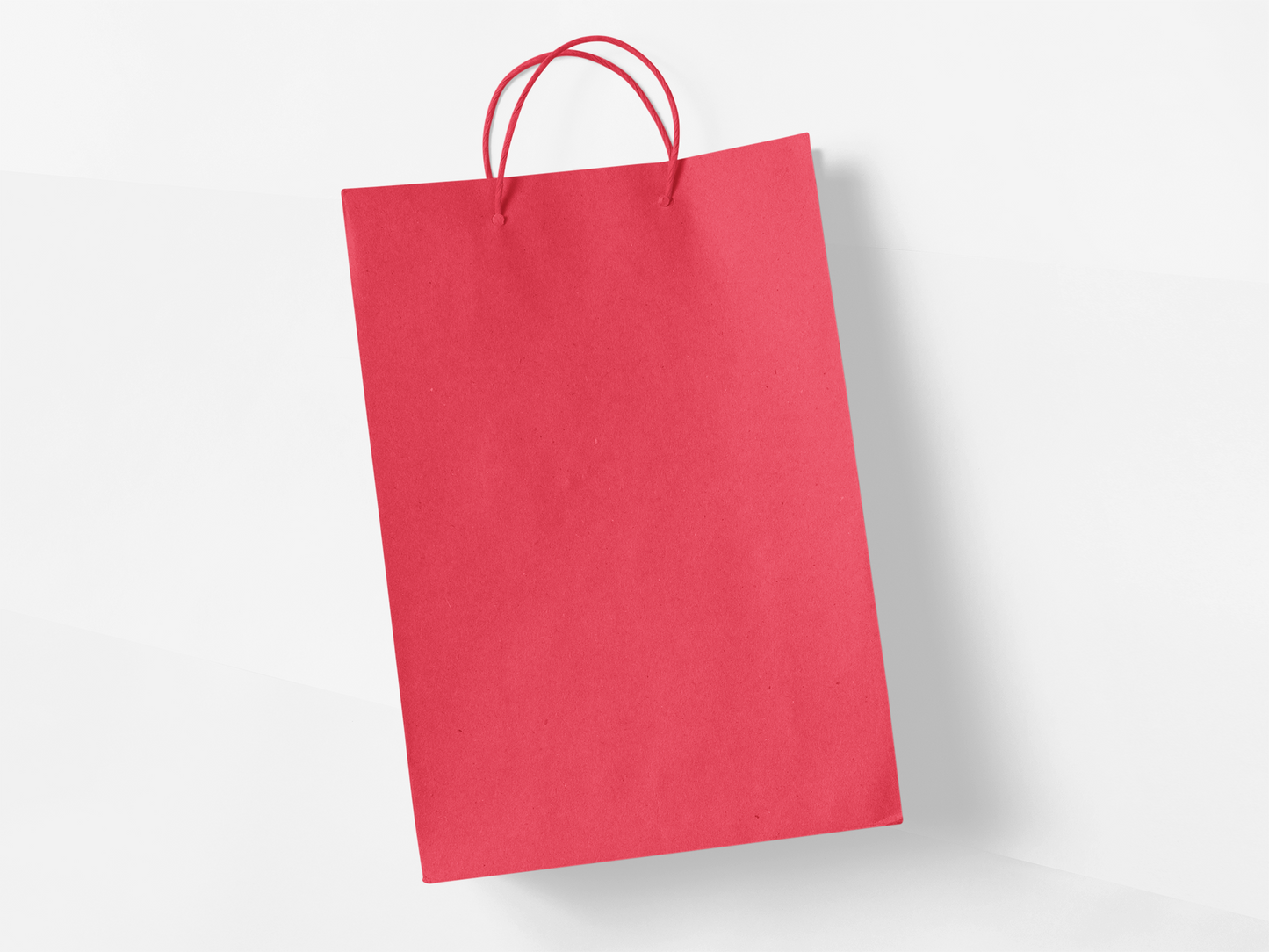 Plain Bags - 4 pack
