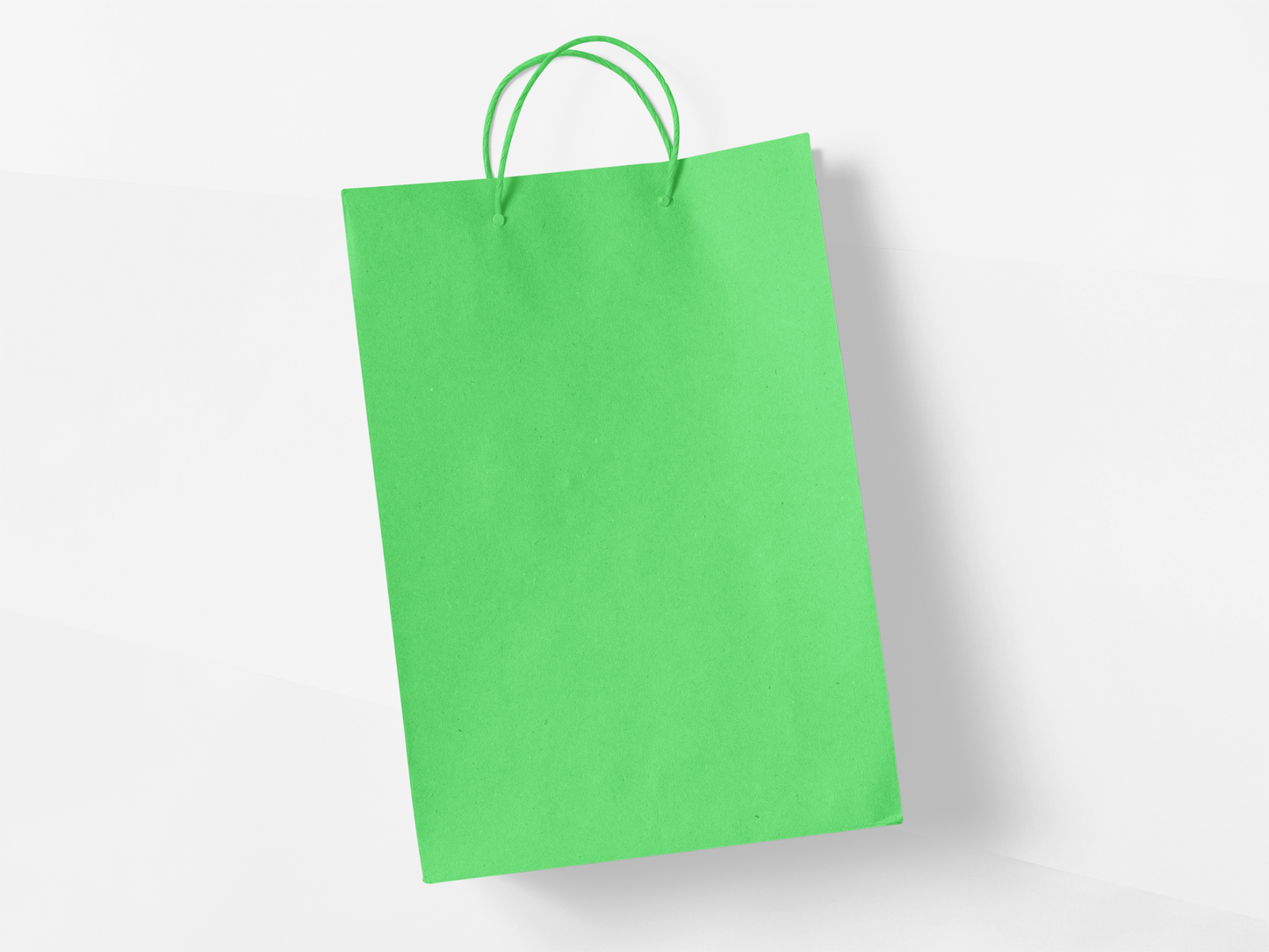 Plain Bags - 4 pack