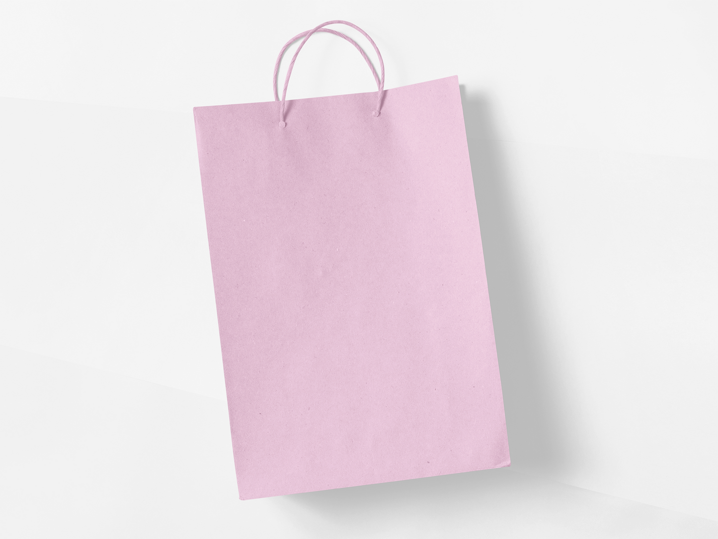 Plain Bags - 4 pack