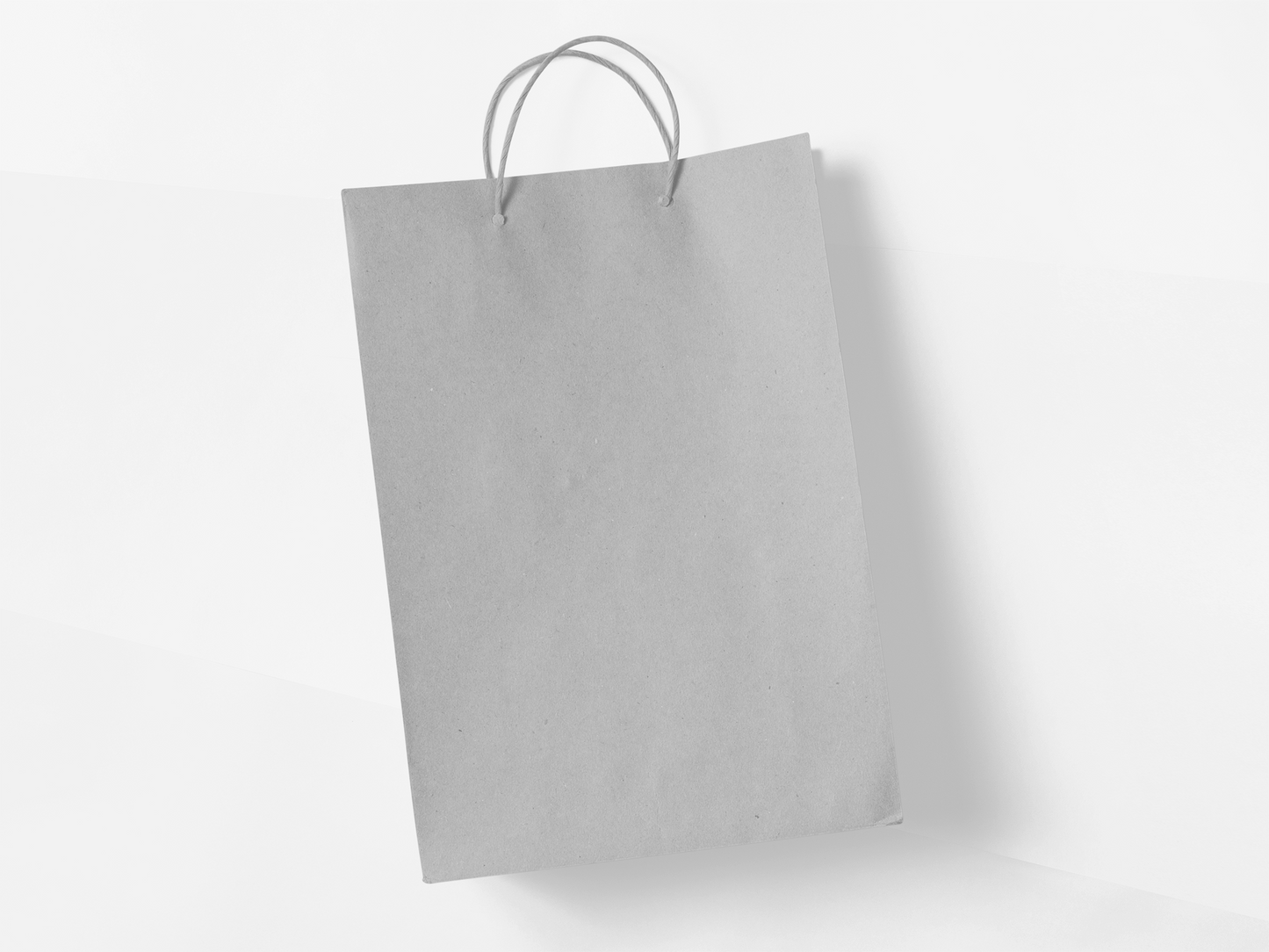Plain Bags - 4 pack