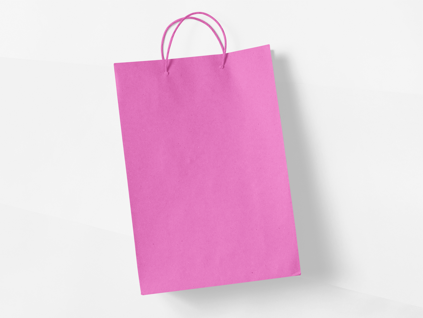 Plain Bags - 4 pack