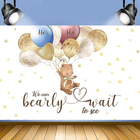 GENDER REVEAL BIRTHDAY PARTY BACKDROP BANNER 5x7ft